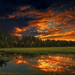 Picture9